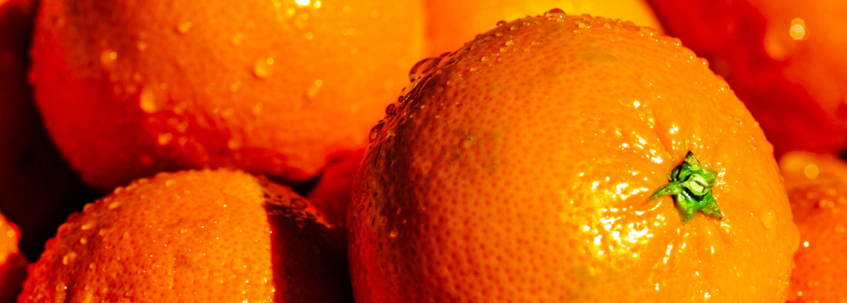 免费ddos攻击网页端